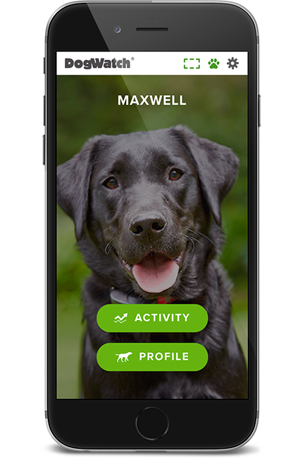 DogWatch of Cedar Rapids, Cedar Rapids, Iowa | SmartFence WebApp Image