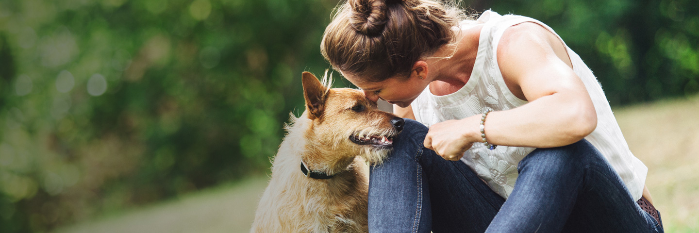 DogWatch of Cedar Rapids, Cedar Rapids, Iowa | BarkCollar No-Bark Trainer Slider Image