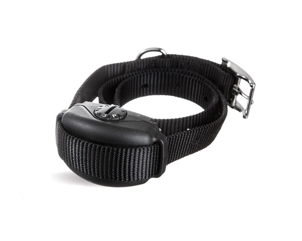 DogWatch of Cedar Rapids, Cedar Rapids, Iowa | SideWalker Leash Trainer Product Image